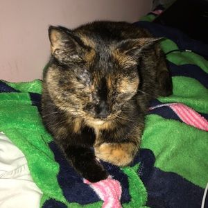 Meet your Posher, Cassie